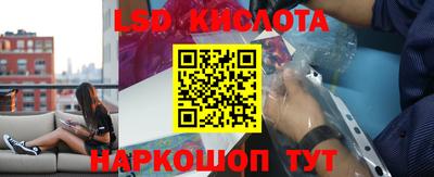 гидра Гатчина