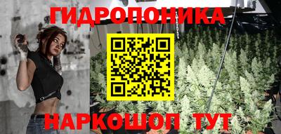 молекула духа Гагарин