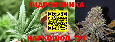 гидра Гатчина