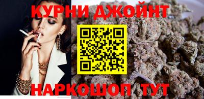 гидра Гатчина