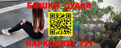 молекула духа Гагарин