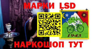 гидра Гатчина