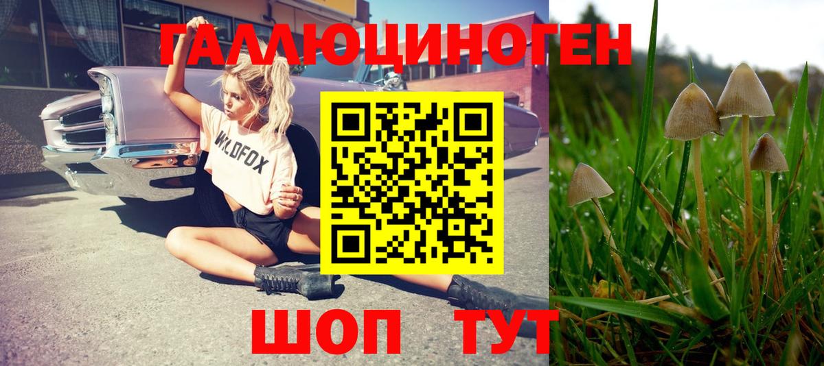 Псилоцибиновые грибы прущие грибы Нижний Новгород