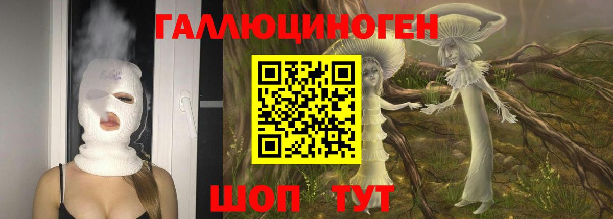 Нижний Новгород  Псилоцибиновые грибы прущие грибы  Вход с VPN 